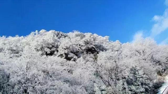 河池市人民医院牵手44家医院成立河池市创伤救治联盟